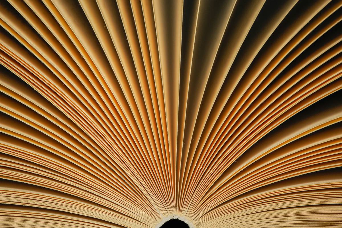 A close-up of an open book's fanned-out pages, creating a visually striking pattern of curved, layered lines in warm tones.